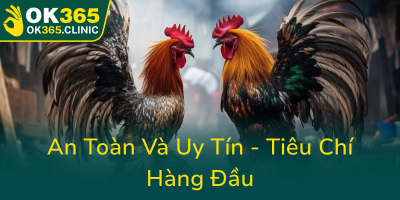 Khám Phá Đá Gà OK365 - Nền Tảng Đấu Trường Gà Đá Online Hàng Đầu 4 An Toan Va Uy Tin Tieu Chi Hang Dau0