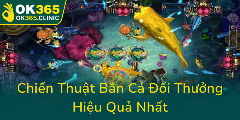 Chien Thuat Ban Ca Doi Thuong Hieu Qua Nhat0