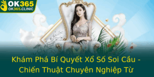 Kham Pha Bi Quyet Xo So Soi Cau Chien Thuat Chuyen Nghiep Tu Ok365
