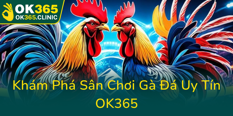 Khám Phá Đá Gà OK365 - Nền Tảng Đấu Trường Gà Đá Online Hàng Đầu 1 Kham Pha San Choi Ga Da Uy Tin Ok3650