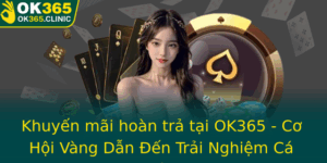 Khuyen Mai Hoan Tra Tai Ok365 Co Hoi Vang Dan En Trai Nghiem Ca Cuoc Inh Cao