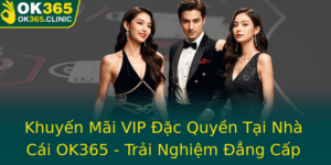 Khuyen Mai Vip Ac Quyen Tai Nha Cai Ok365 Trai Nghiem Ang Cap Am Me Ca Cuoc